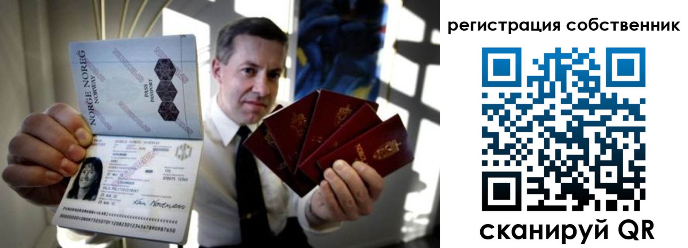 прописка поиск в Коле